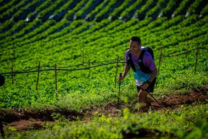 BIB: 
                            <button type="button" onclick="openModal(19160915)" class="btn btn-primary btn-sm float-right btn-popup" data-toggle="modal" data-target=".modal-high-quality">
                        <i class="fas fa-shopping-cart"></i> Add to Cart
                    </button>
                                            <button type="button" onclick="isThisMe(19160915, true)" class="btn btn-success btn-sm float-right btn-popup btn-isme hidden" data-toggle="tooltip" data-placement="bottom" title="นี่คือรูปของคุณใช่ไหม คลิกที่นี่เพื่อเอาเข้าอัลบั้ม">
                        <i class="fas fa-plus"></i> Add to album
                    </button>
                    <button type="button" onclick="isThisMe(19160915, false)" class="btn btn-warning btn-sm float-right btn-popup btn-isnotme hidden">
                        <i class="fas fa-ban"></i> Remove from album
                    </button>